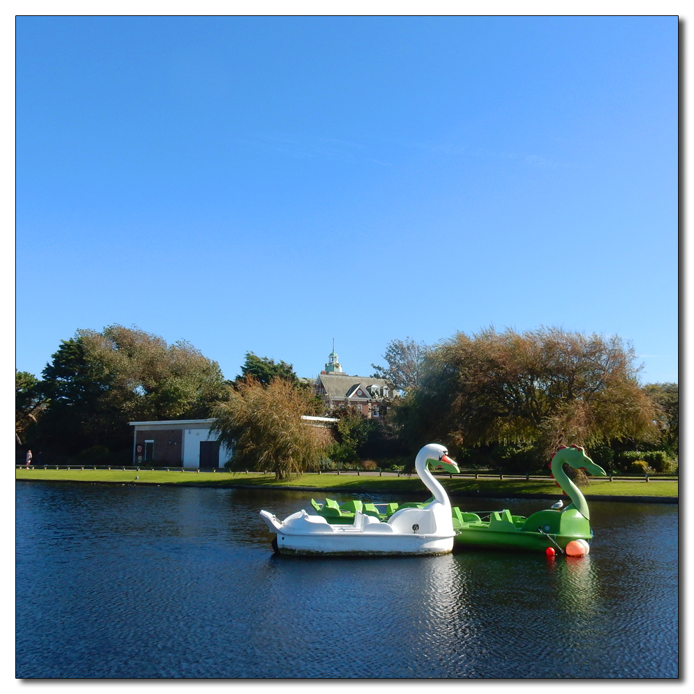 Wave Riders, Mewsbrook Park