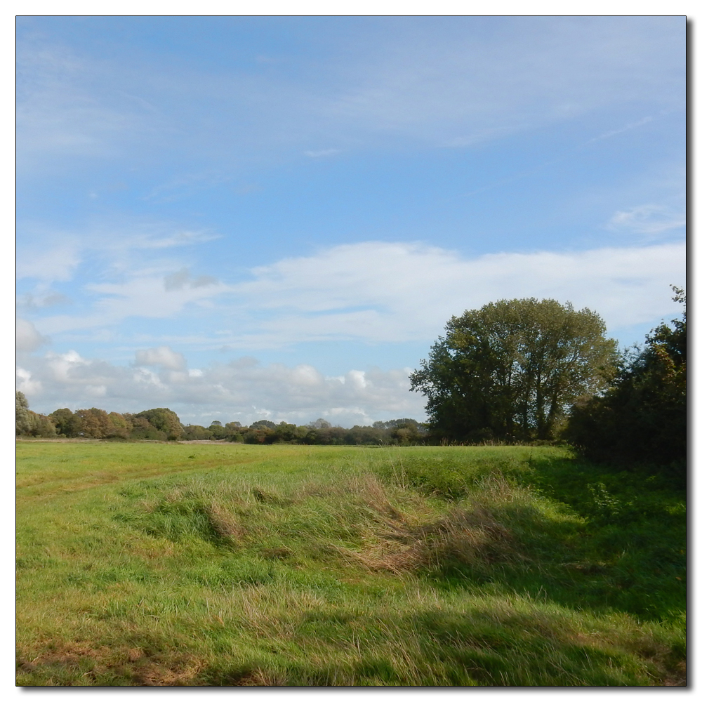 Clearing out the ditch, 