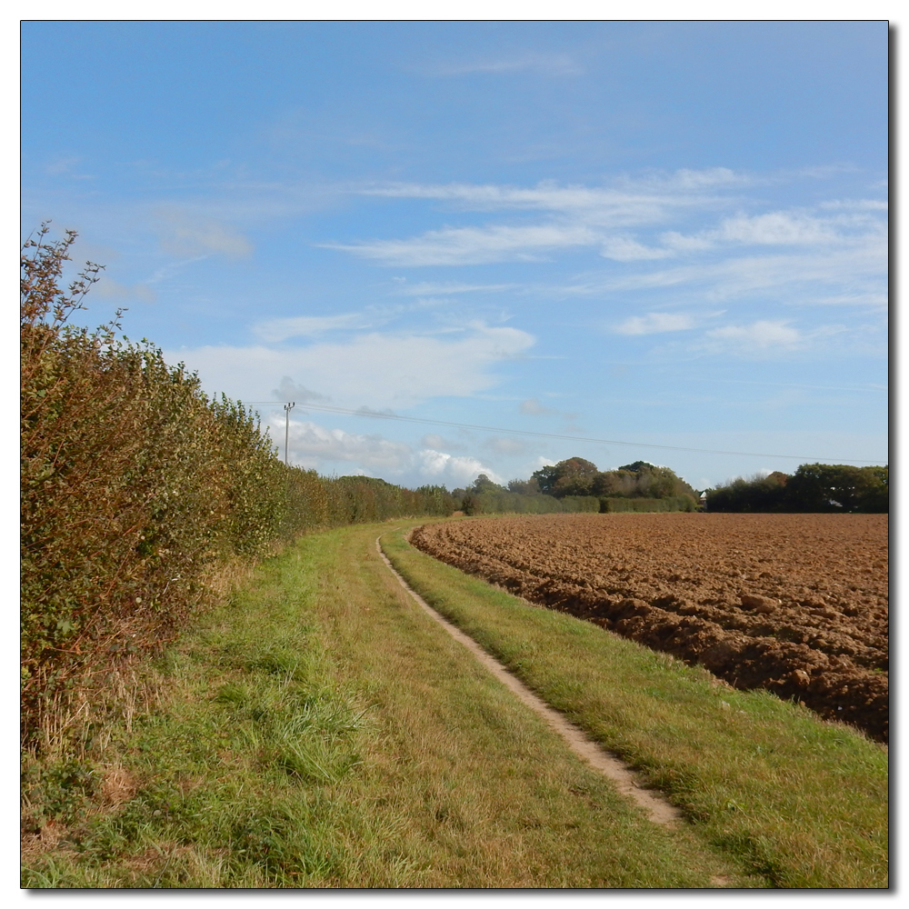 Clearing out the ditch, 