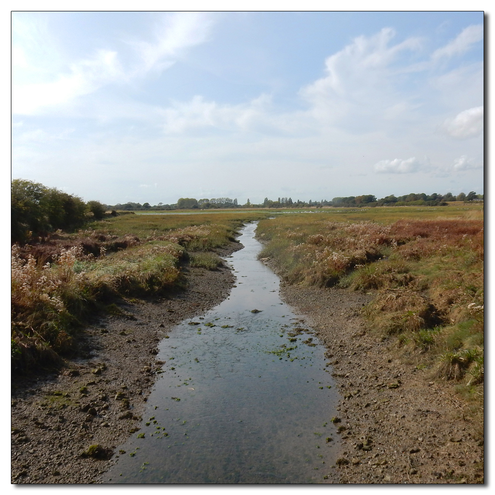 Clearing out the ditch, 