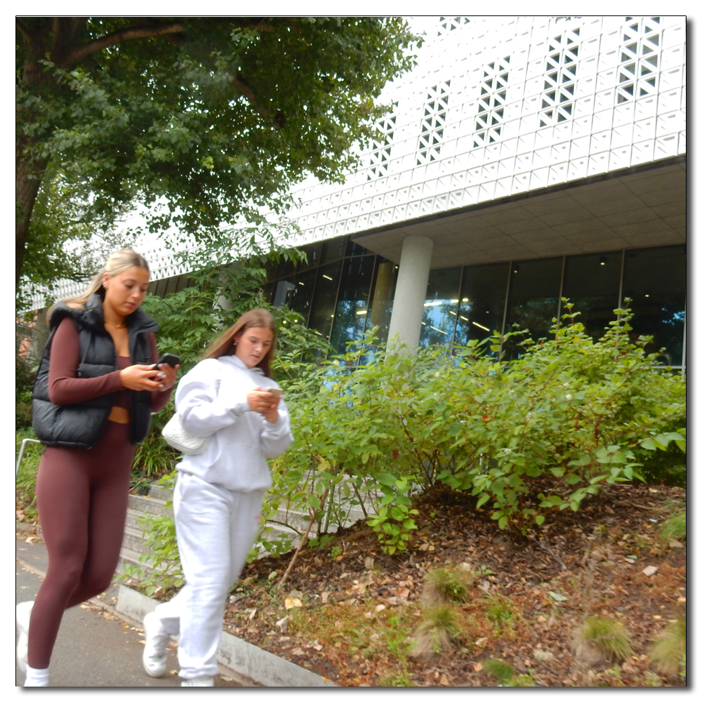 Moulsecoomb Meander, Students at work