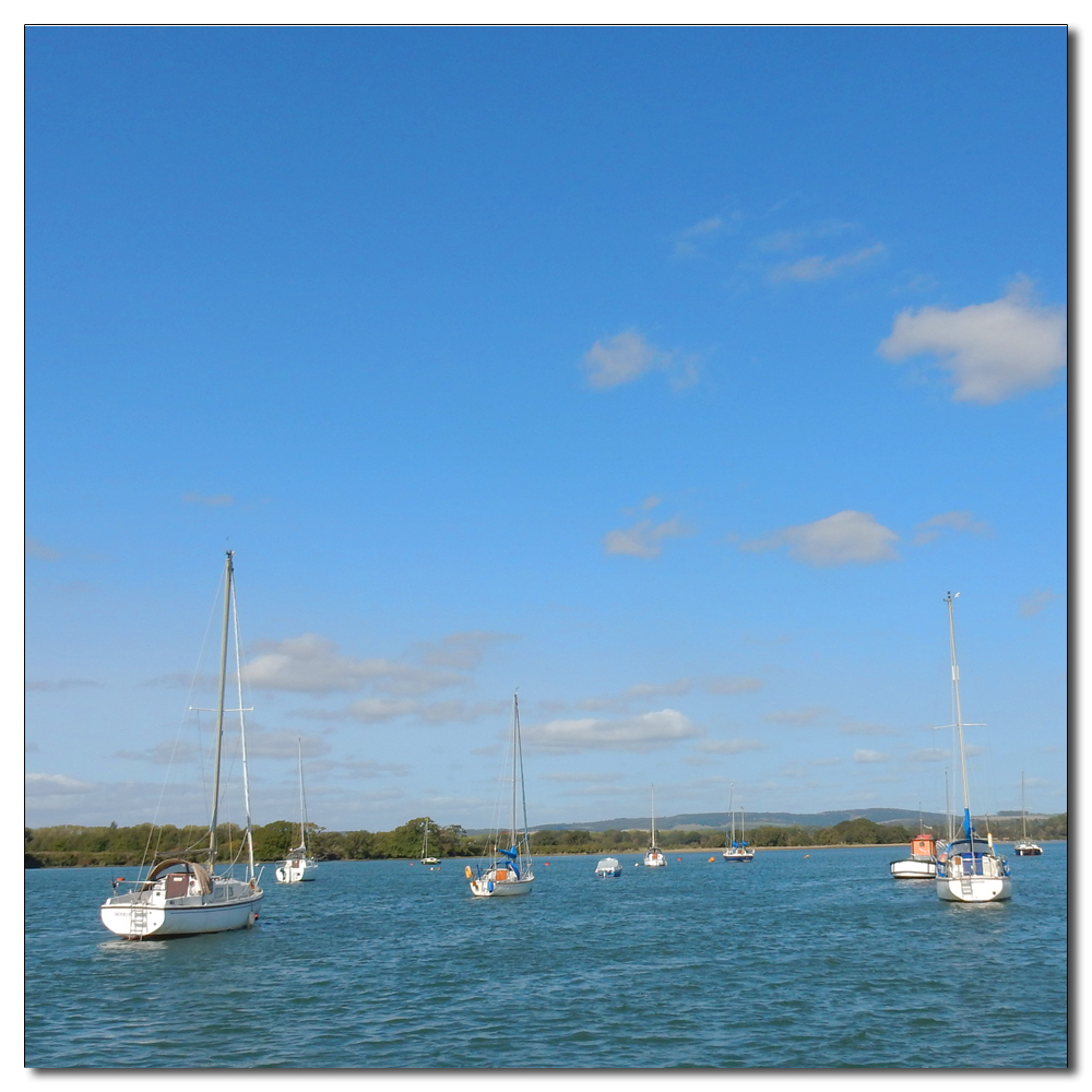 The Boats & Buildings of Dell Quay, 