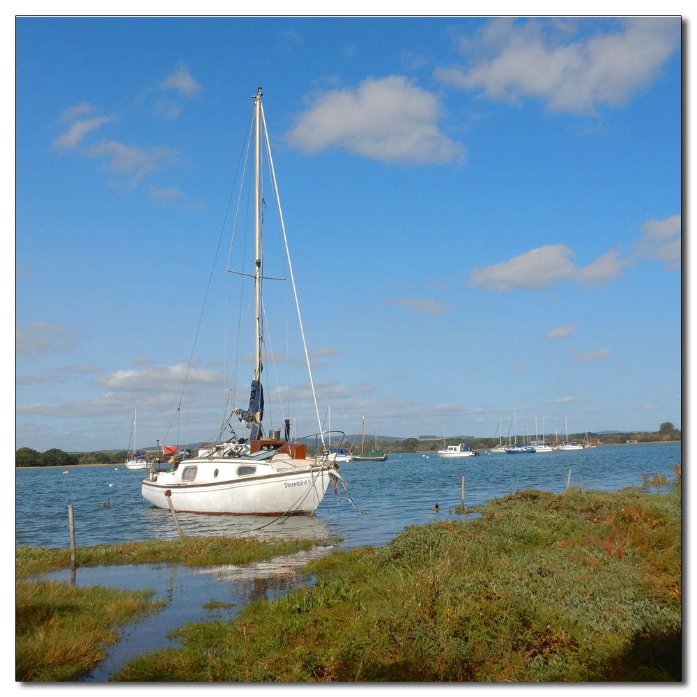 The Boats & Buildings of Dell Quay, 