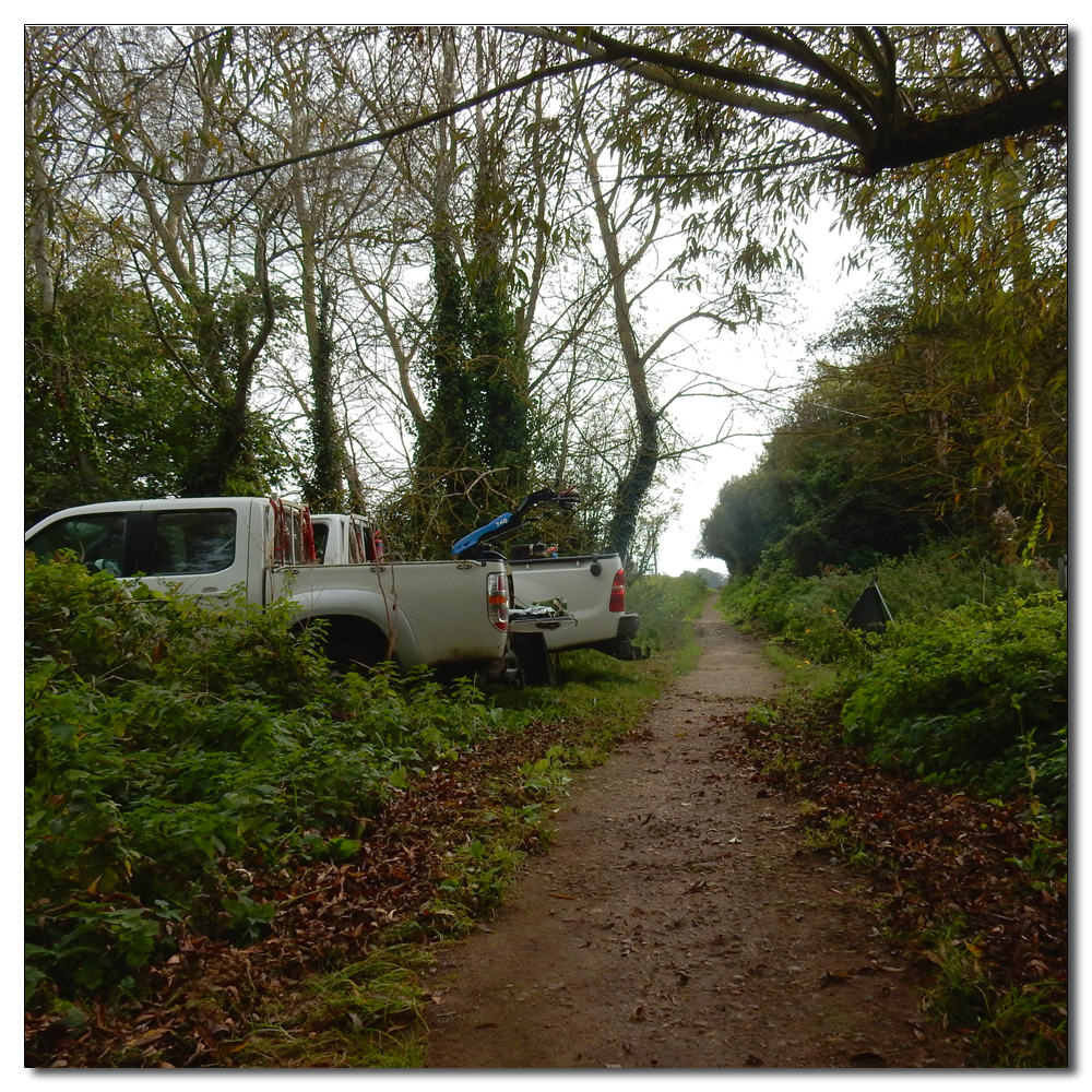 The Field to Chichester, 