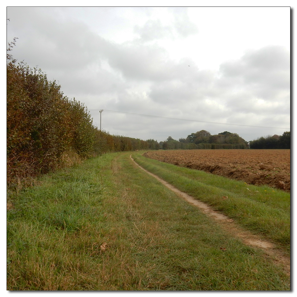 The Field to Chichester, 