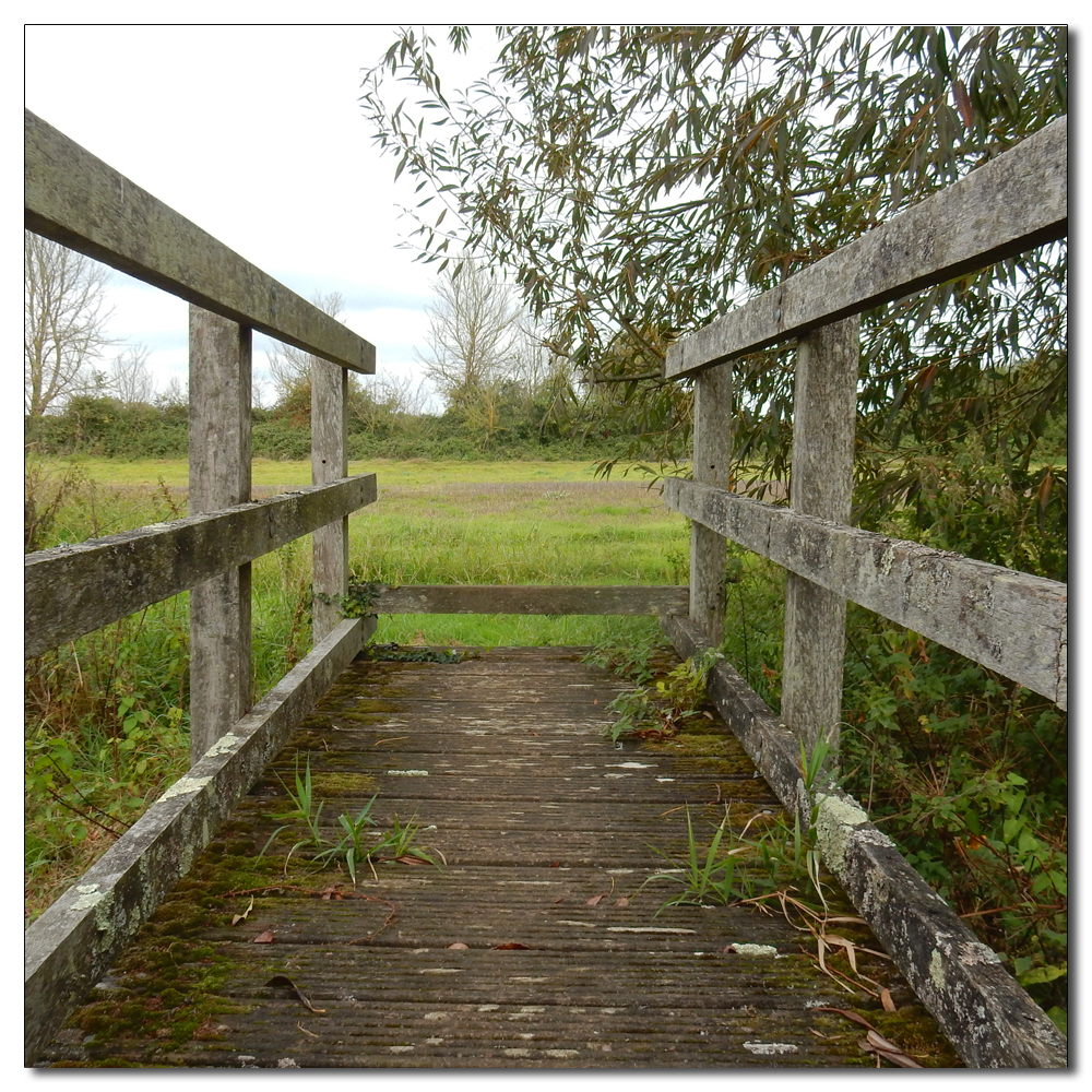 The Field to Chichester, 