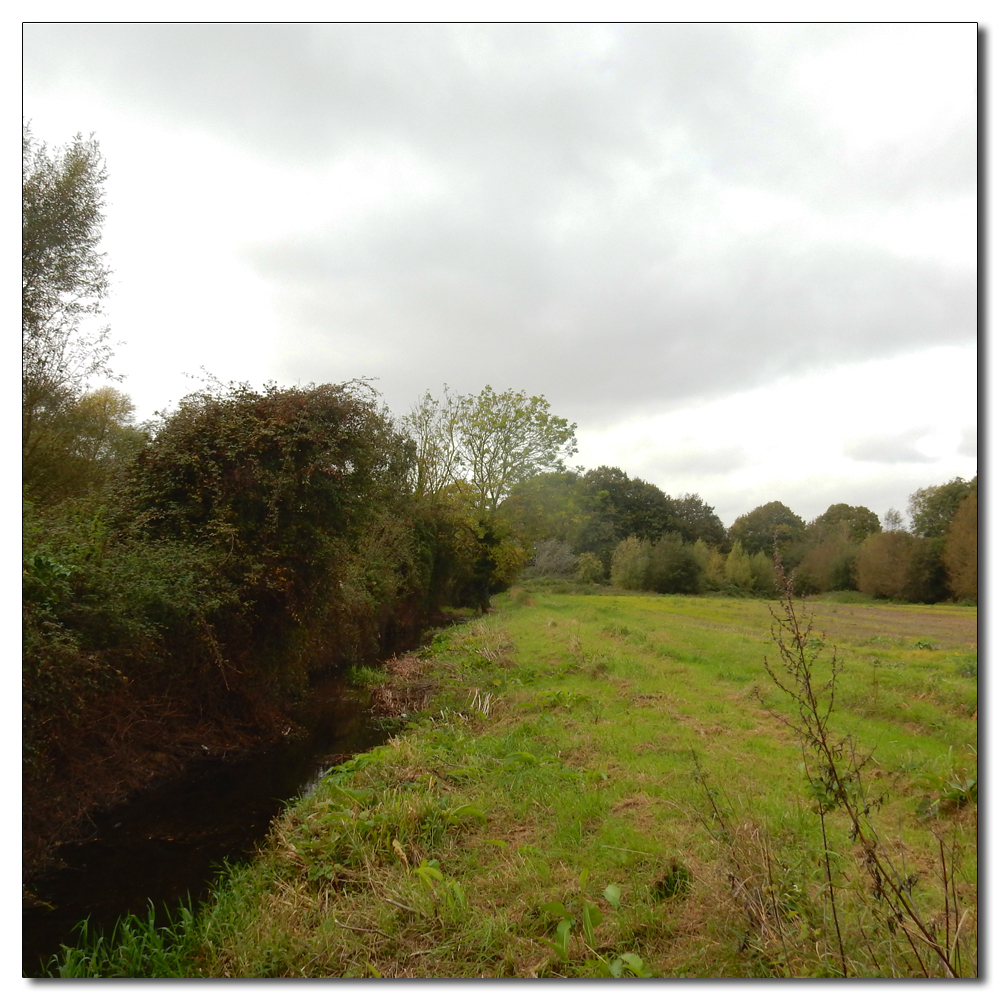 The Field to Chichester, 