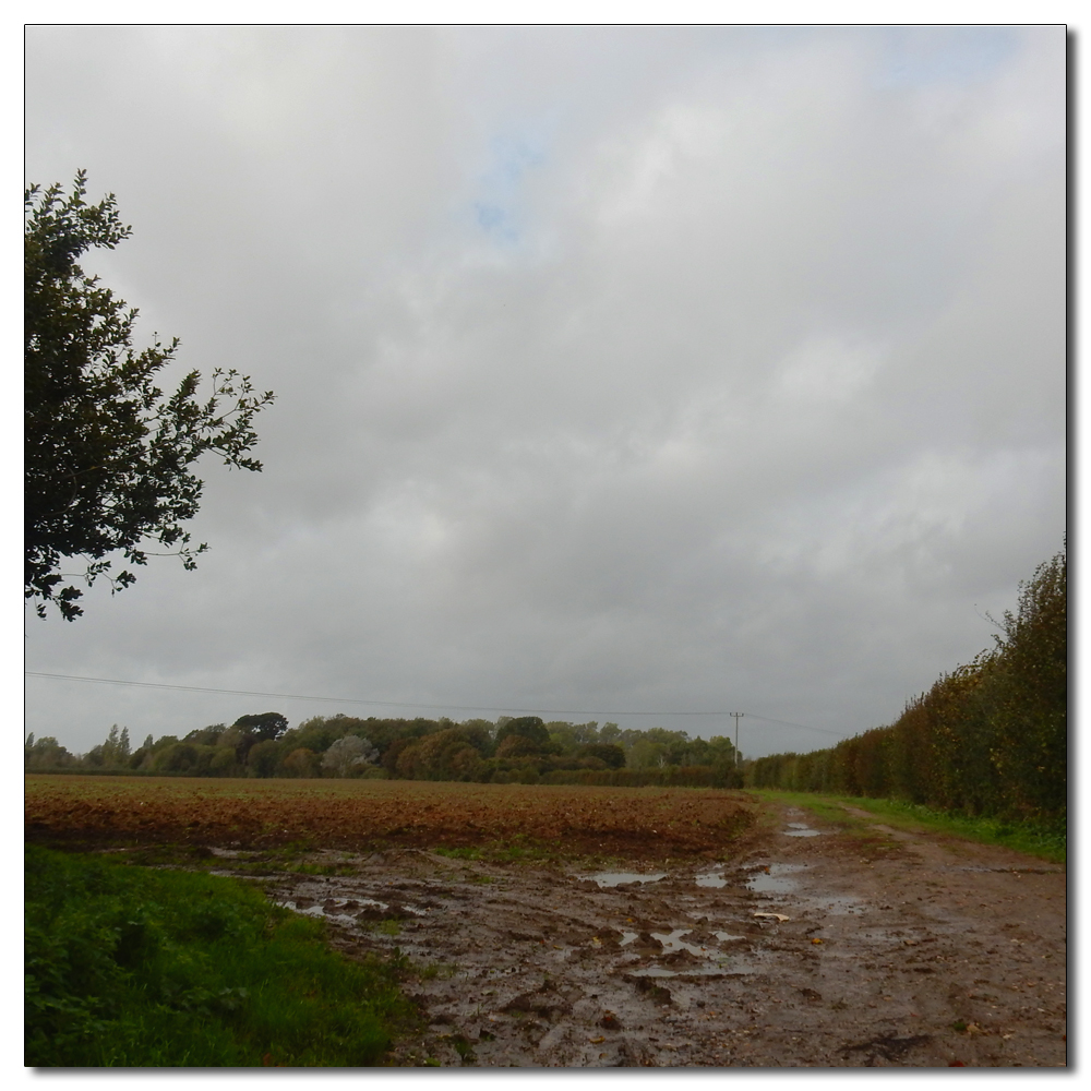 A Wet Welly Walk, 