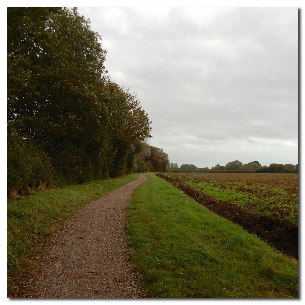 A Wet Welly Walk, 