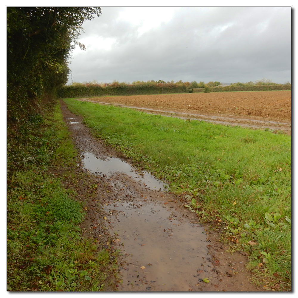 A Wet Welly Walk, 