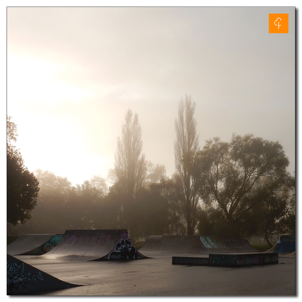 Salisbury Parkrun<br>365, Misty morning