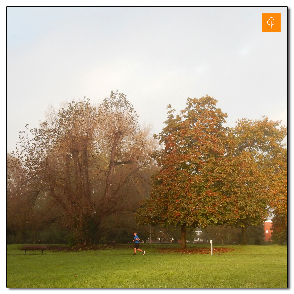 Salisbury Parkrun<br>365, Solo warmup