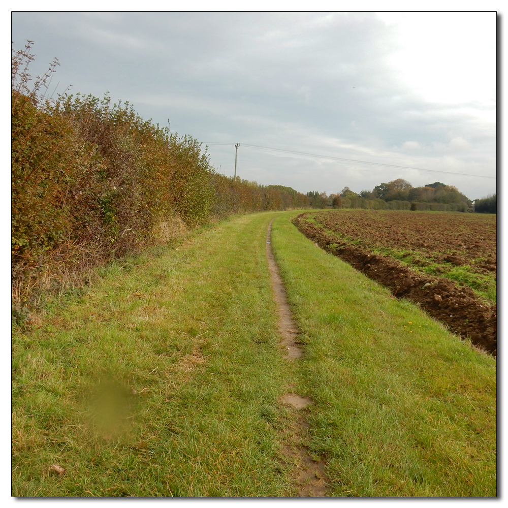 Waterlogged Fields, 