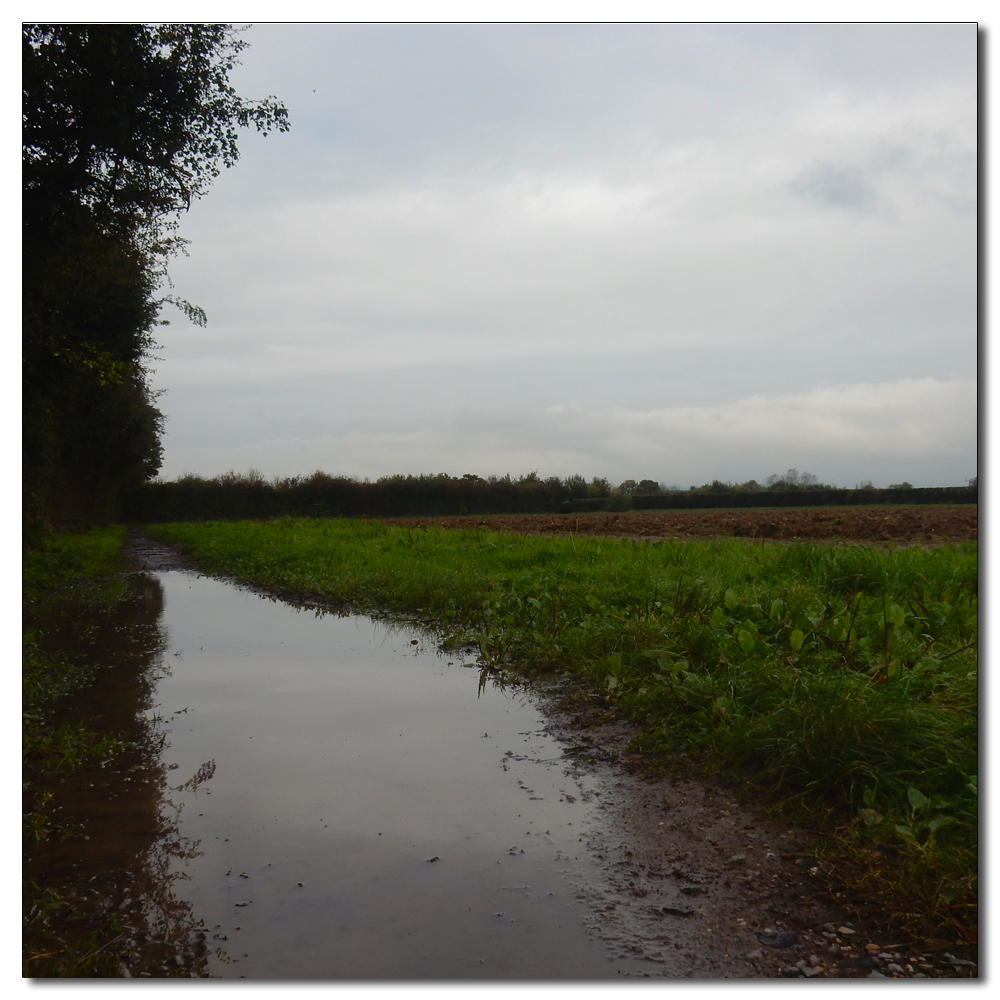 Waterlogged Fields, 