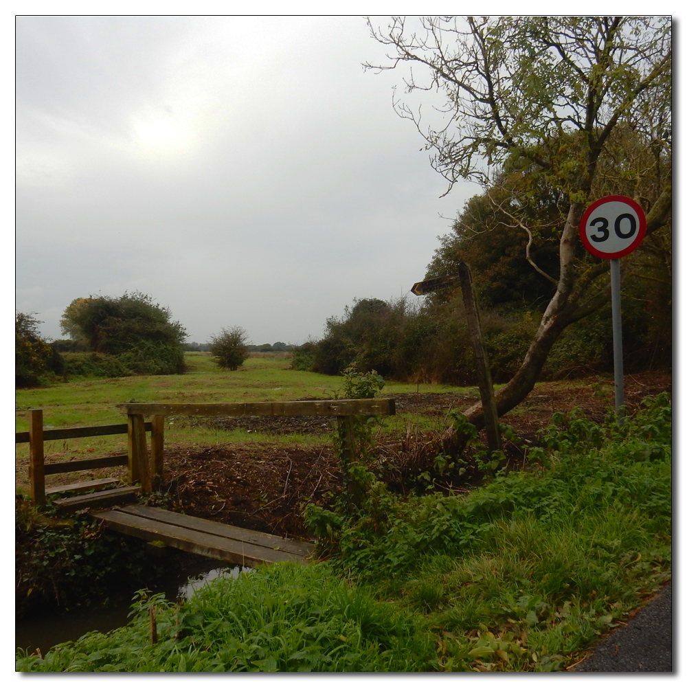 Waterlogged Fields, 