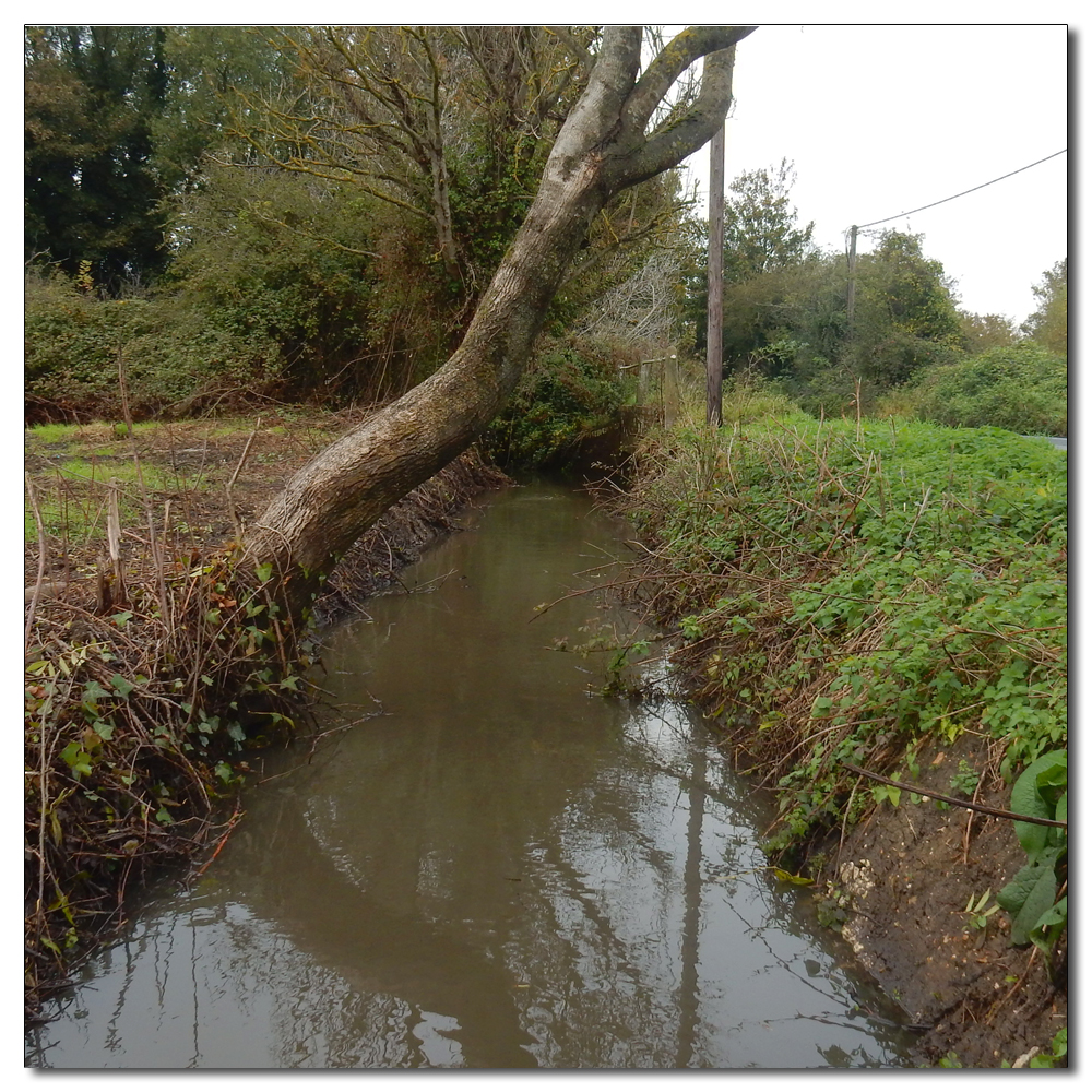 Waterlogged Fields, 