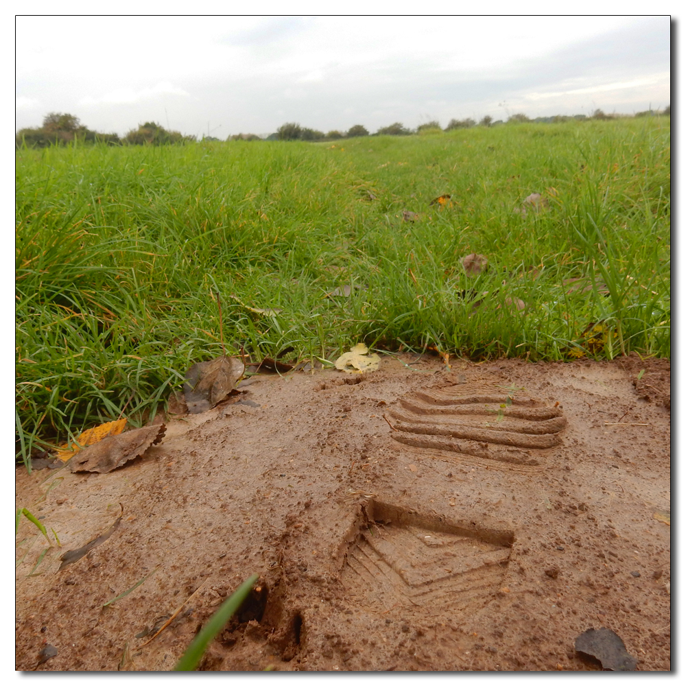 Waterlogged Fields, 