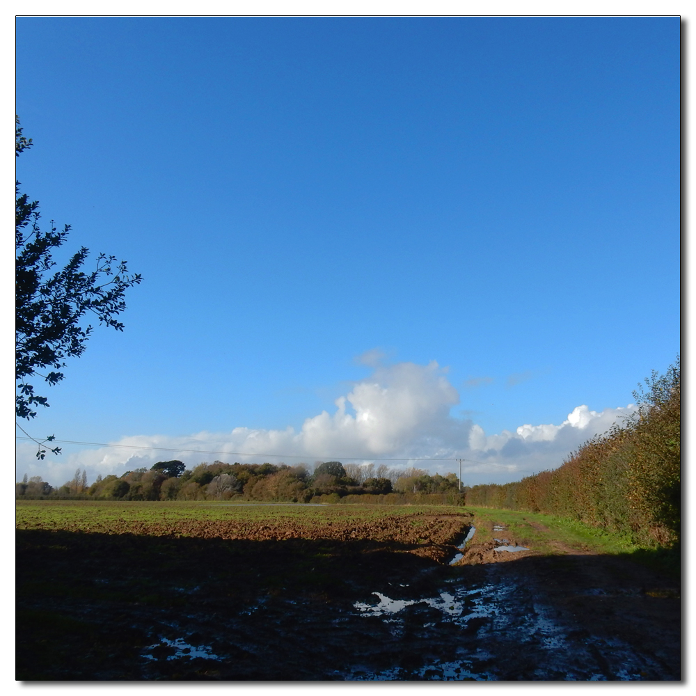 Flooded Salterns Way, 