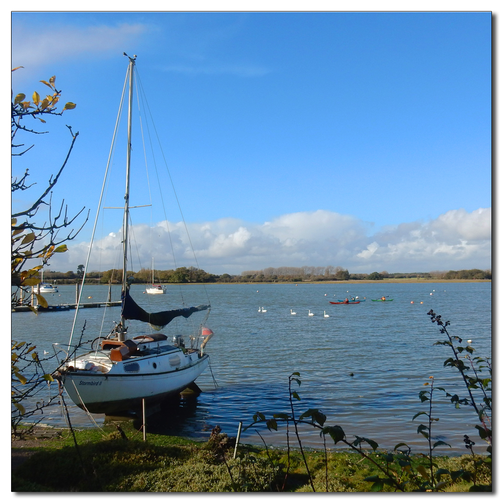 Flooded Salterns Way, 