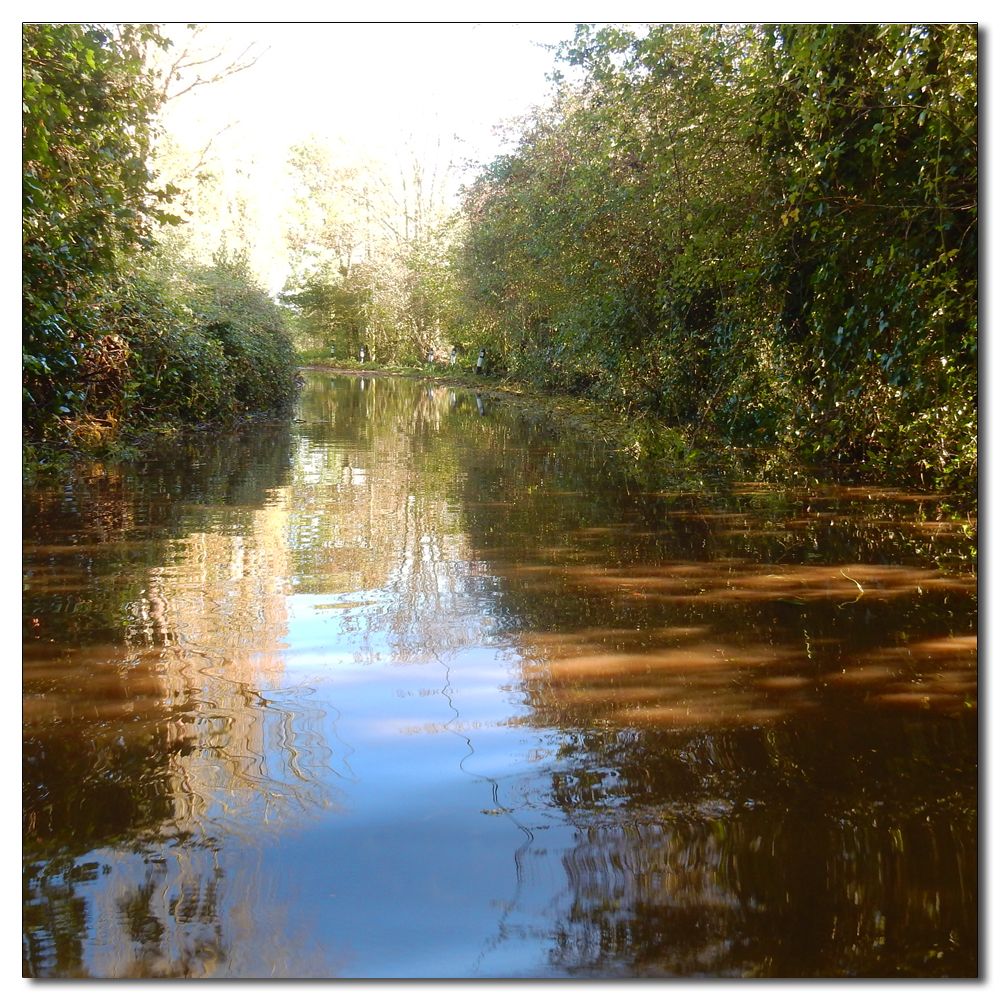 Flooded Salterns Way, 