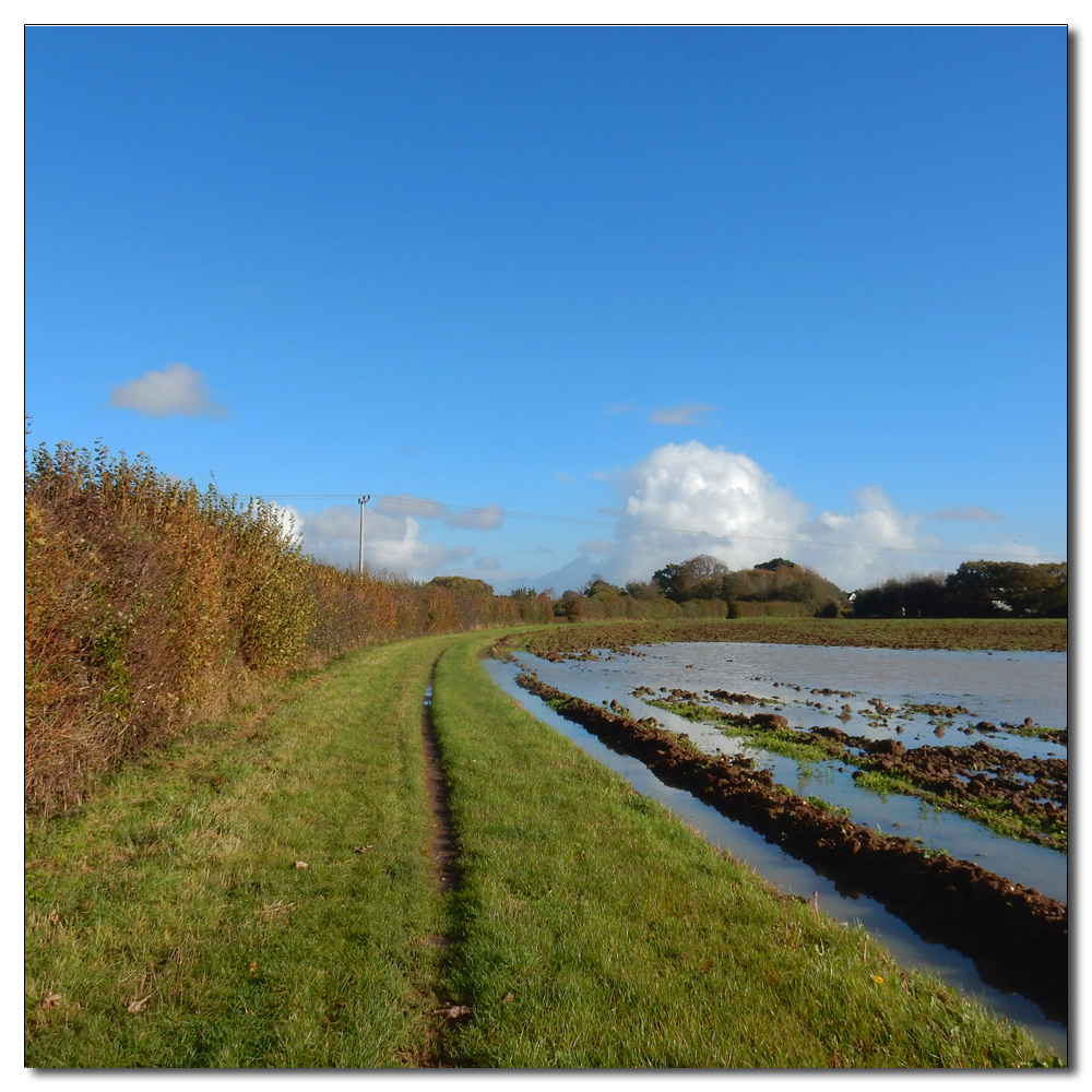 Flooded Salterns Way, 