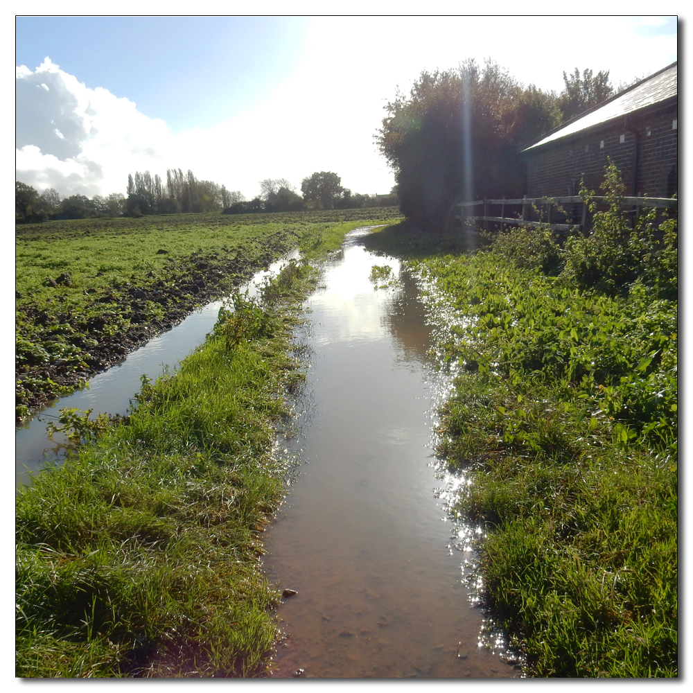 Flooded Salterns Way, 