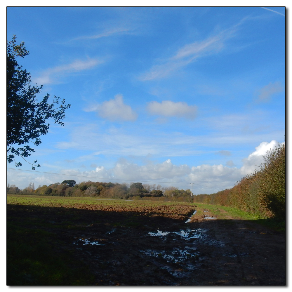 Long Winter Shadows, 