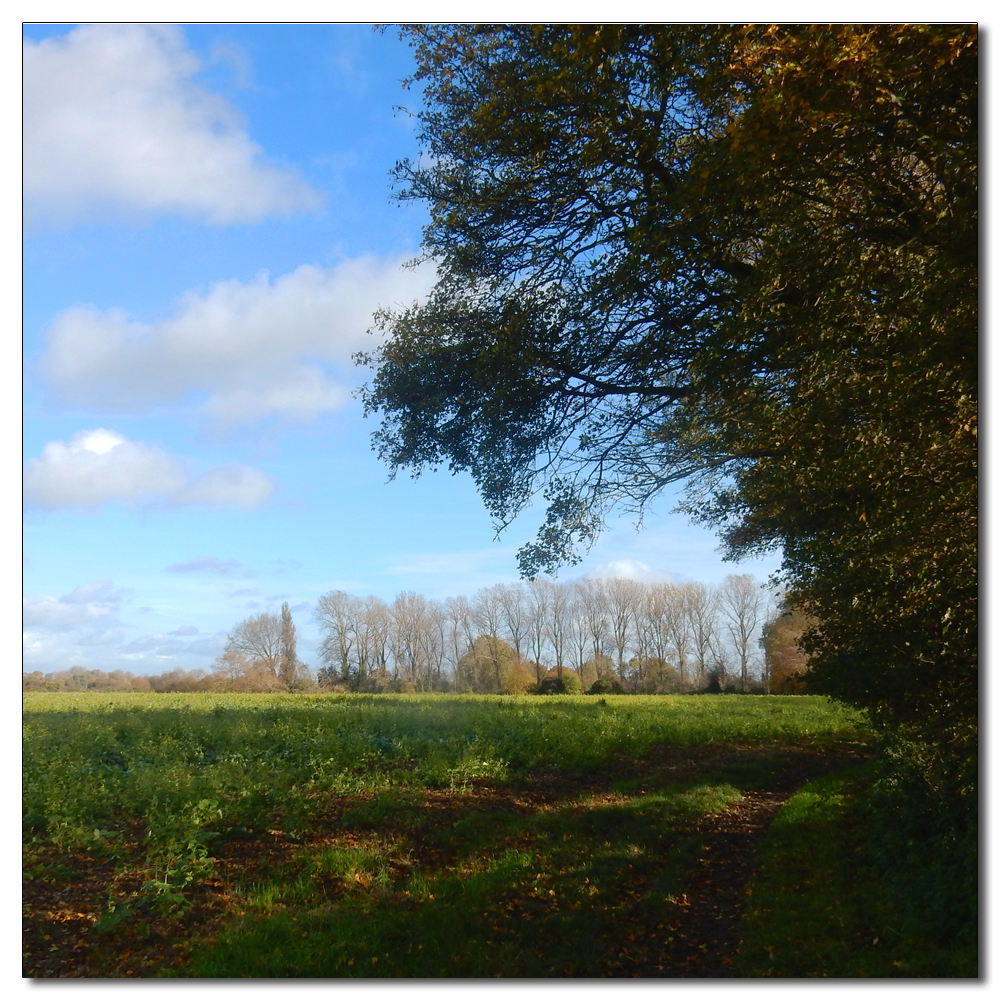 Long Winter Shadows, 