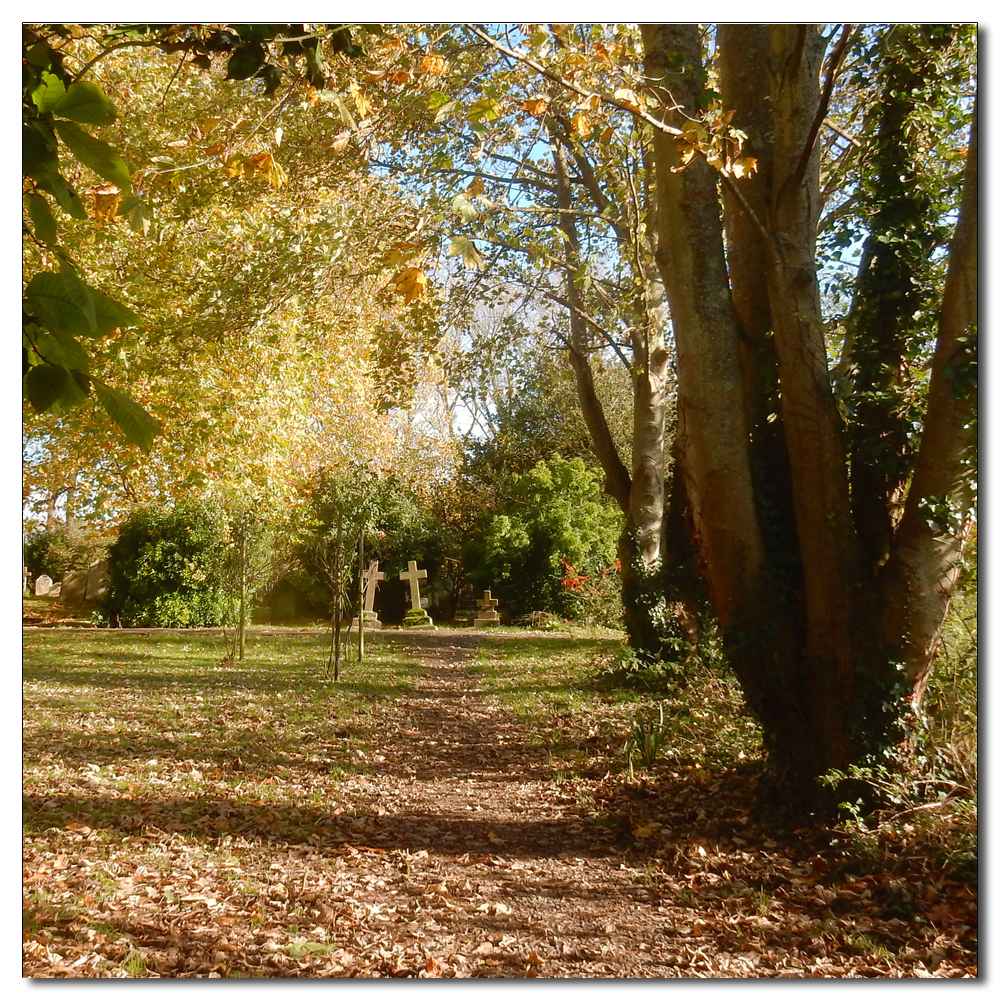 Long Winter Shadows, 