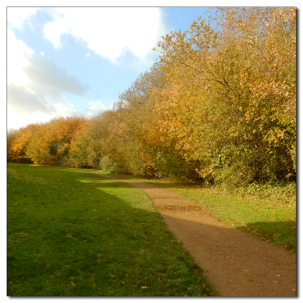 Bookfield Park after Debi, 