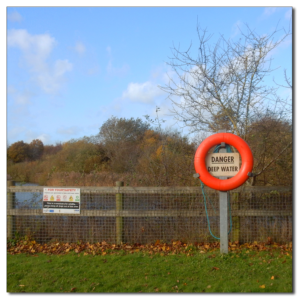 Bookfield Park after Debi, 