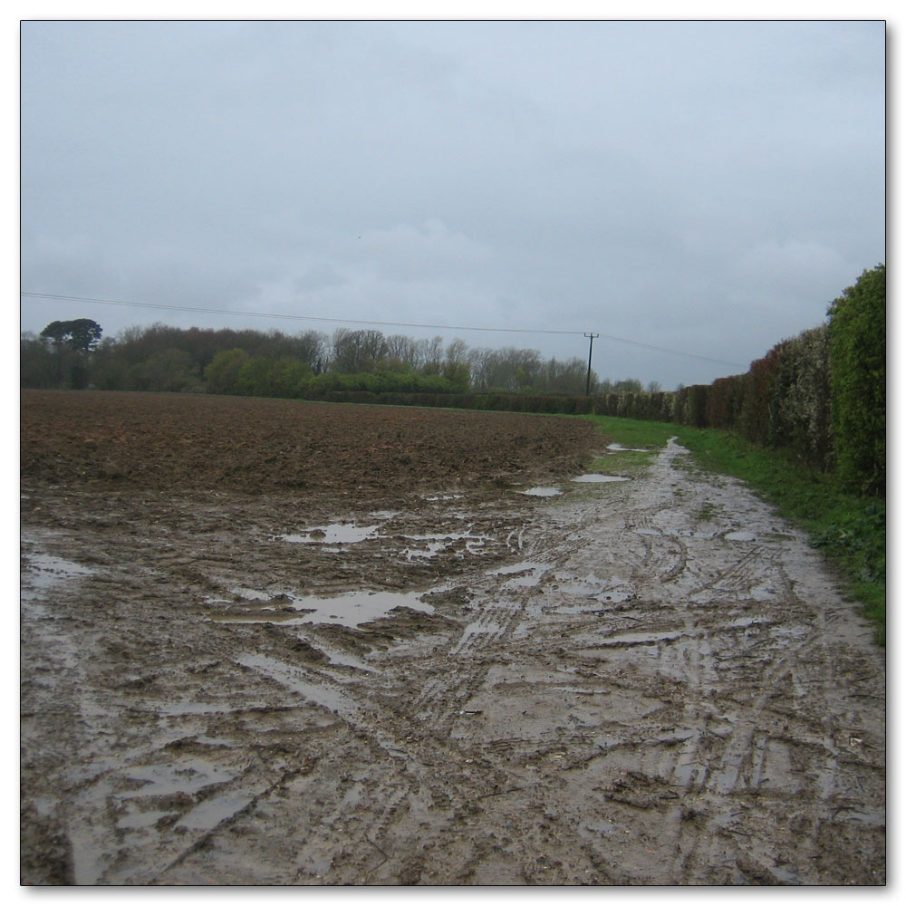 Along the River Lavant, 