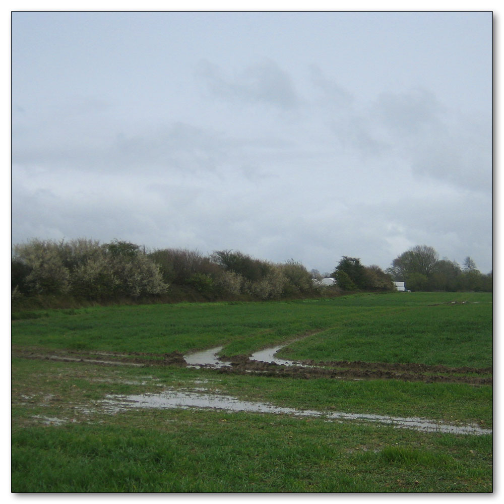 Along the River Lavant, 