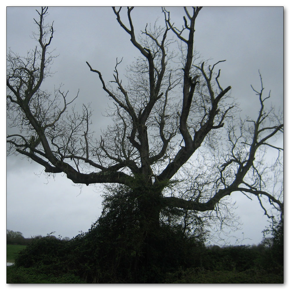 Along the River Lavant, 