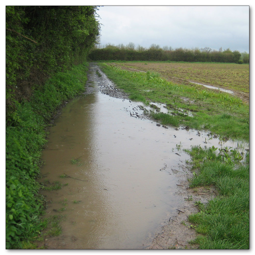 Along the River Lavant, 