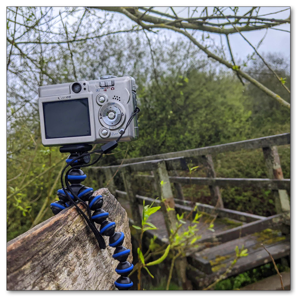 Along the River Lavant, Camera on the timer