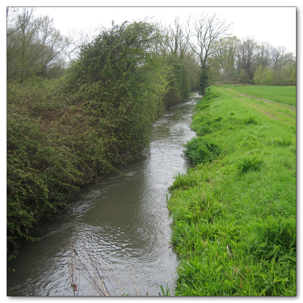 Along the River Lavant, River Lavant