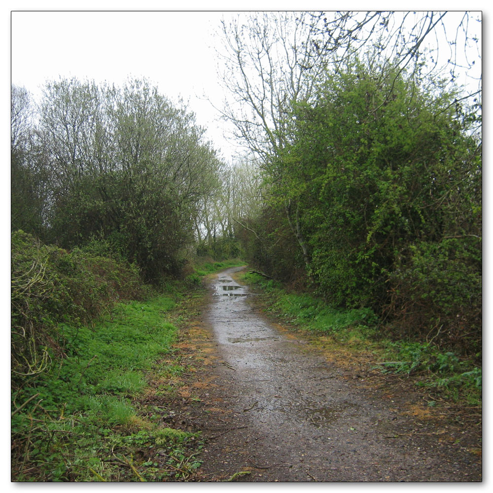 Along the River Lavant, 