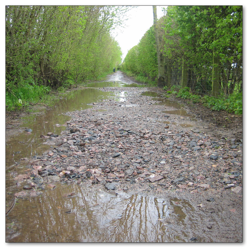 Along the River Lavant, 