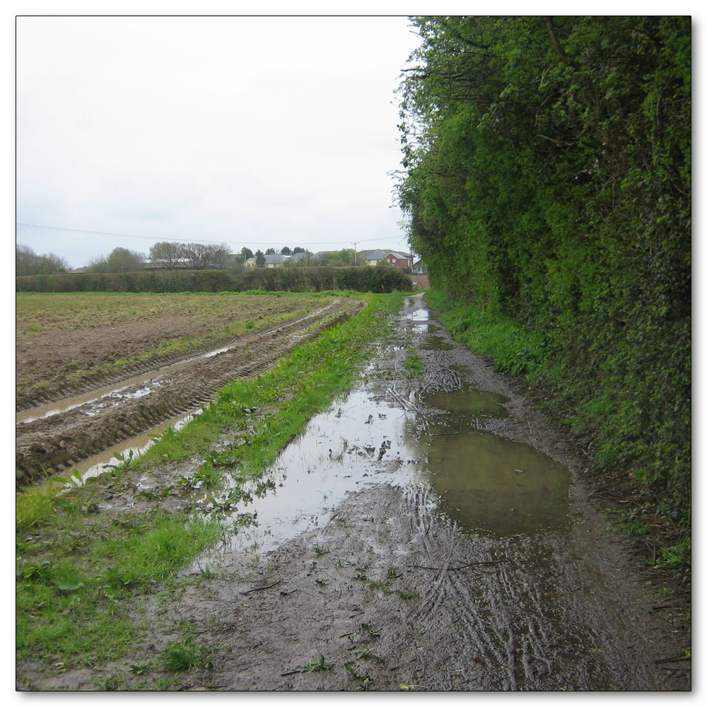 Along the River Lavant, 