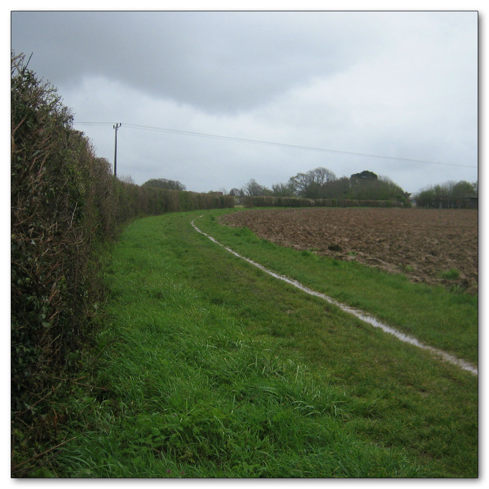 Along the River Lavant, 