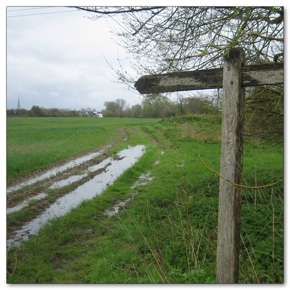 Along the River Lavant, 