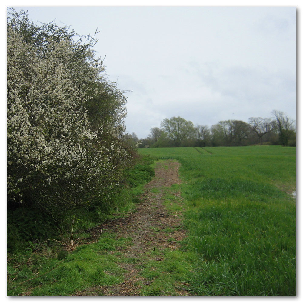 Along the River Lavant, 