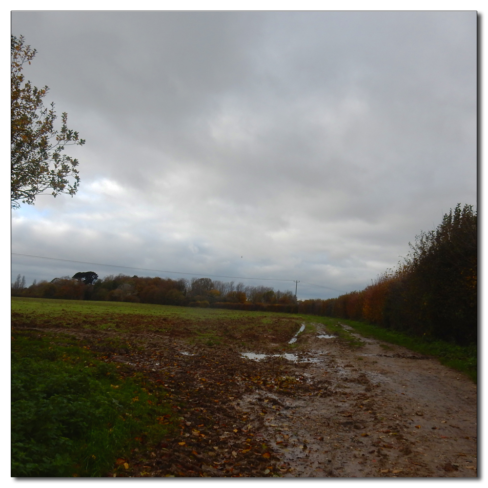 Mushroom hunting, 