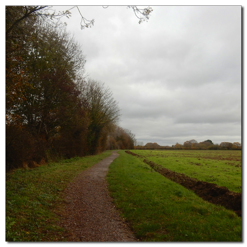 Mushroom hunting, 