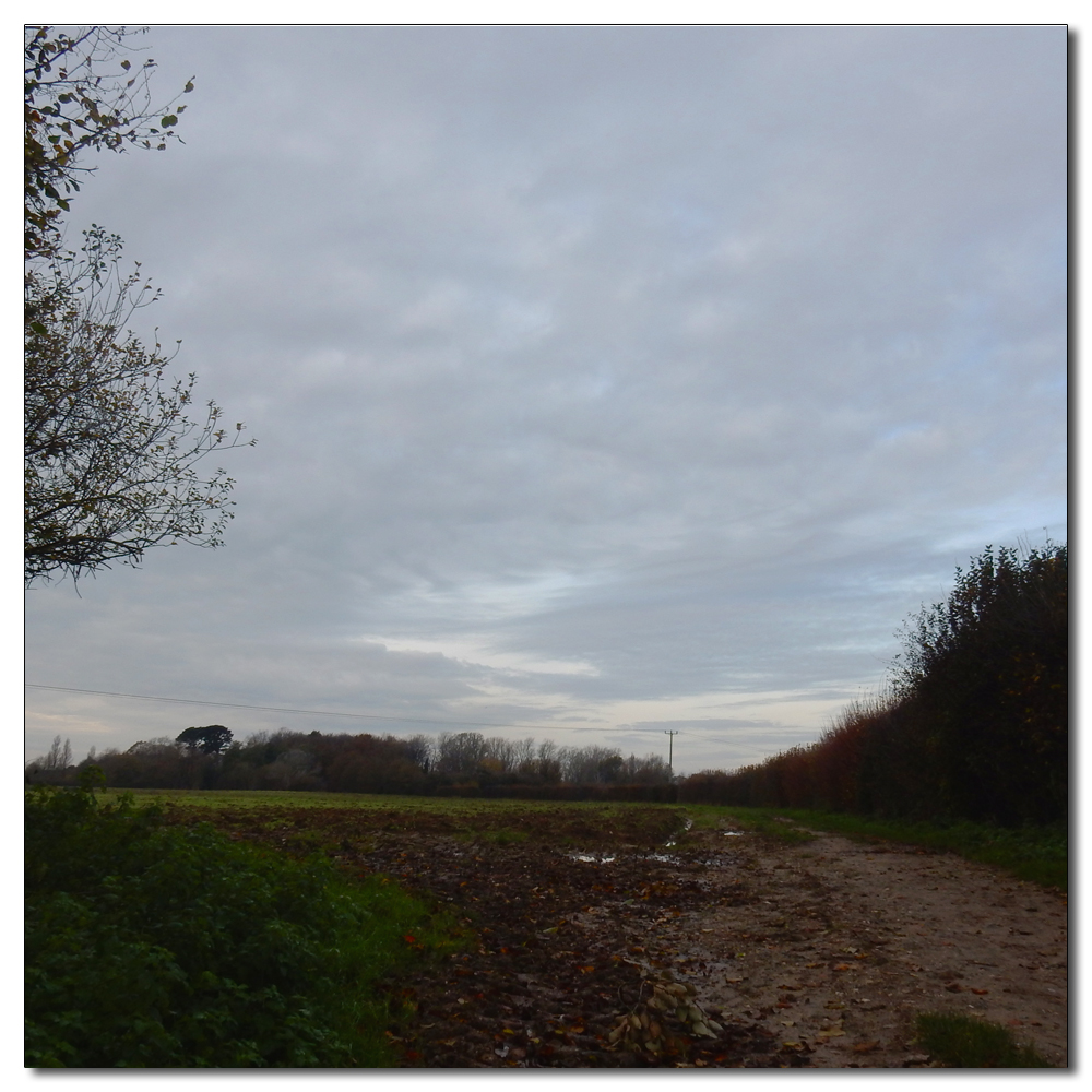 Soft light over Fishbourne Channel, 