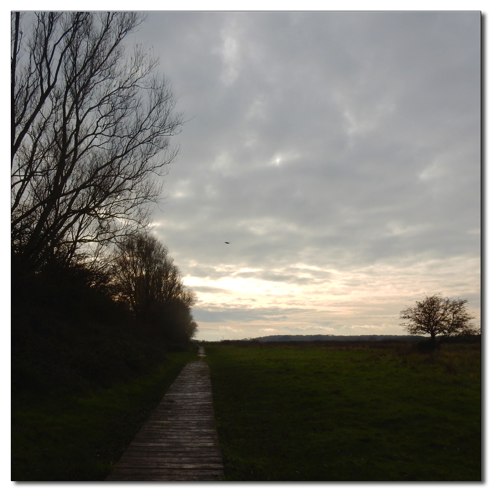 Soft light over Fishbourne Channel, 