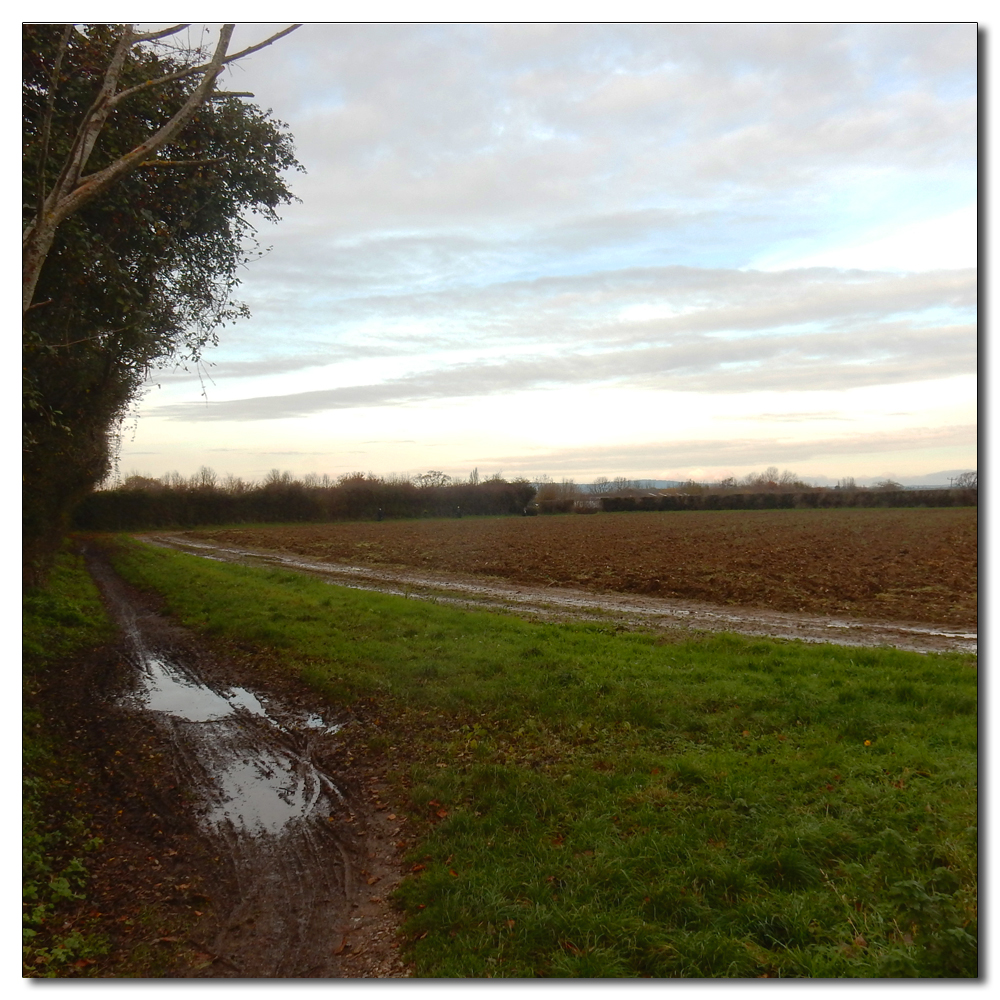 Soft light over Fishbourne Channel, 