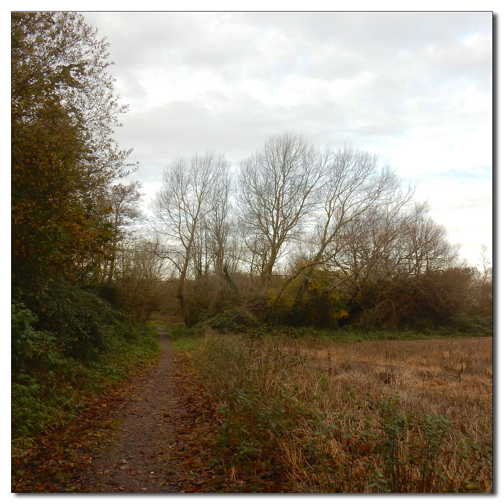 Soft light over Fishbourne Channel, 