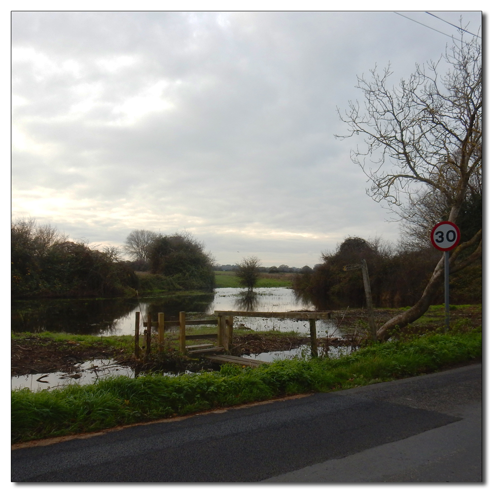 Soft light over Fishbourne Channel, 